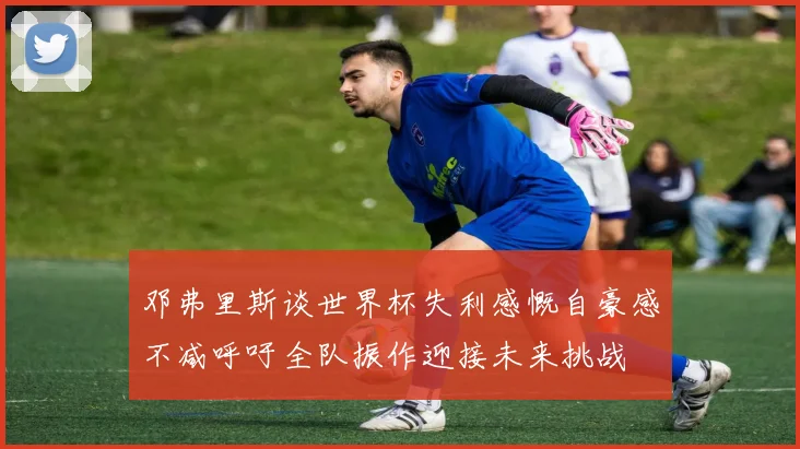 邓弗里斯谈世界杯失利感慨自豪感不减呼吁全队振作迎接未来挑战