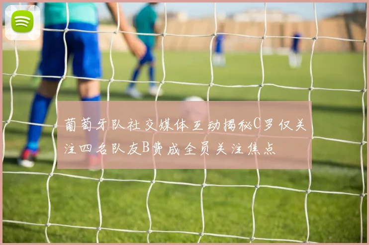 葡萄牙队社交媒体互动揭秘C罗仅关注四名队友B费成全员关注焦点