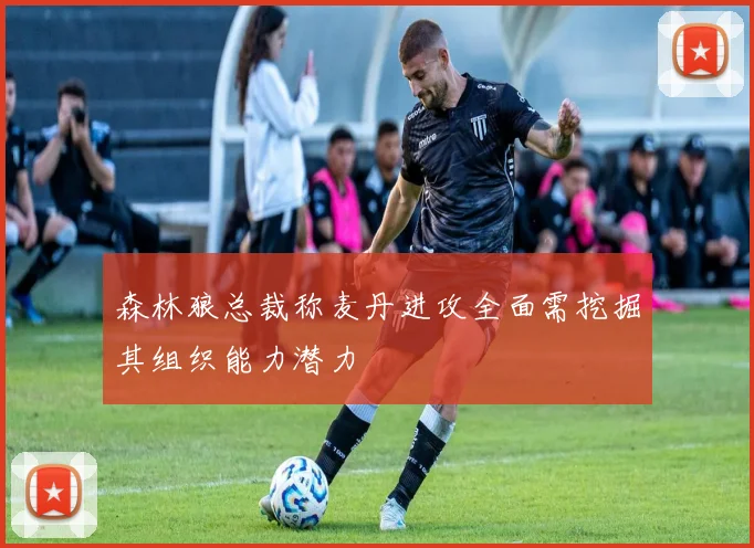 森林狼总裁称麦丹进攻全面需挖掘其组织能力潜力